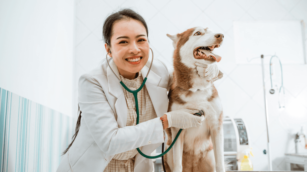 pet insurance claims